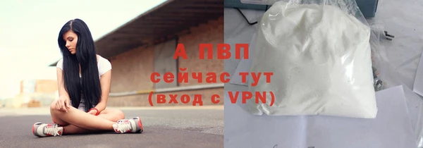 амф Арсеньев