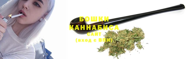 амф Арсеньев