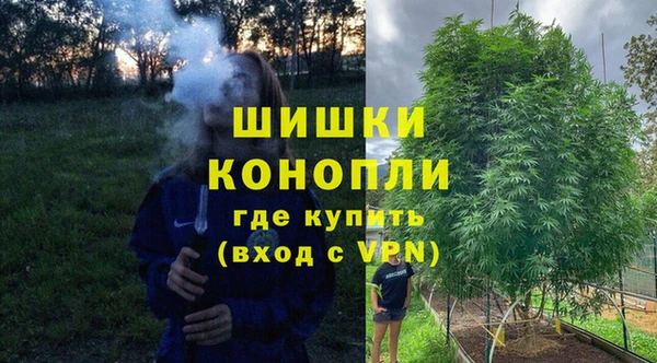 амф Арсеньев