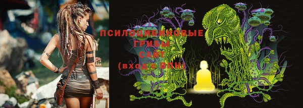 героин Ладушкин