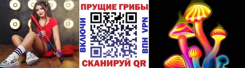 Галлюциногенные грибы GOLDEN TEACHER  Артёмовск 